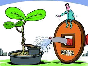 社會資本給力文化產(chǎn)業(yè)與社會經(jīng)濟(jì)咨詢服務(wù)